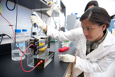 photo of a student in a lab