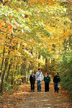 photo of students walking in the woods