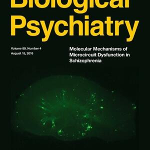 Putman_journal image.jpg