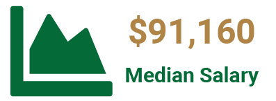 Median salary of a Statistician is $91,160