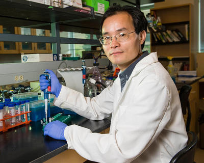 Image of Weiwen Long Ph.D. 