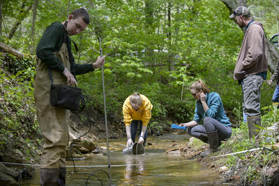 Image, honors students taking water samples