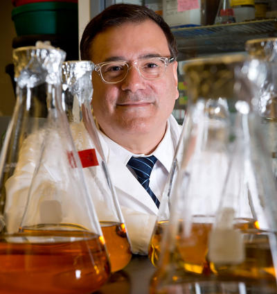 Image of Julian Gomez-Campronero