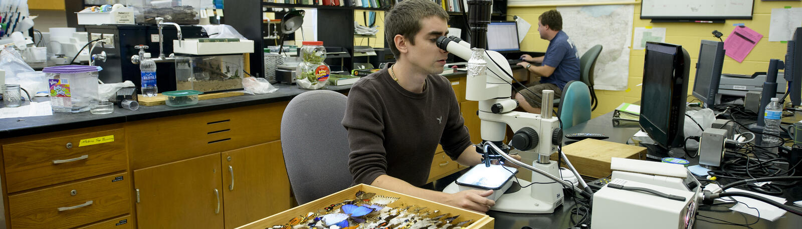 photo of a student working in a lab