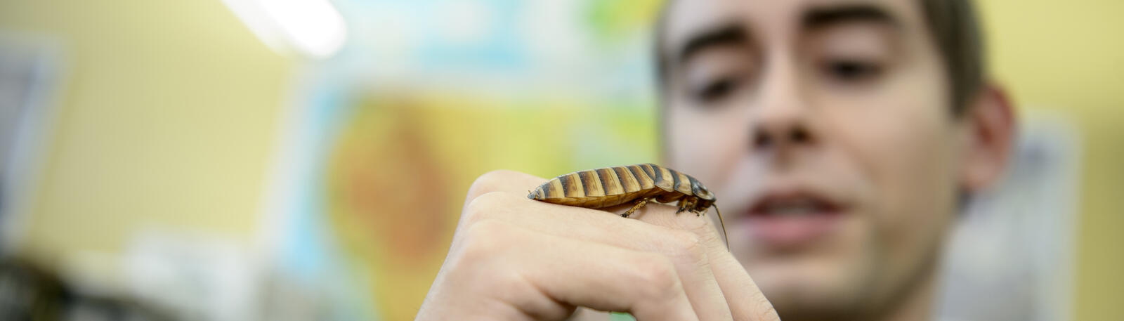 photo of a student working in a lab