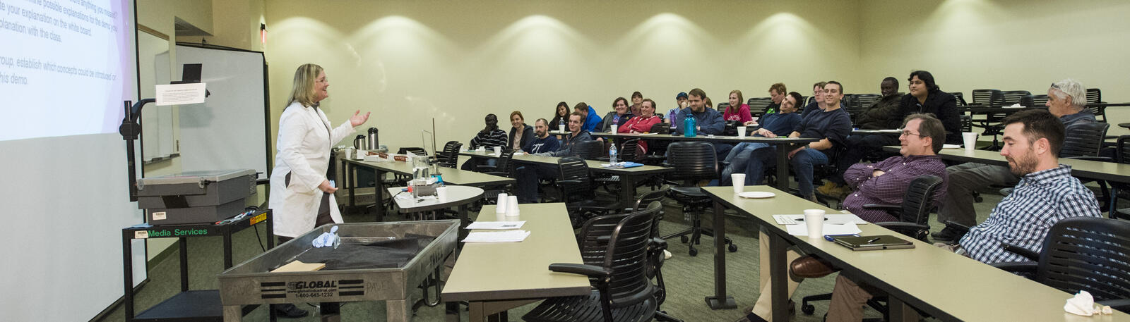 photo of a professor giving a presentation