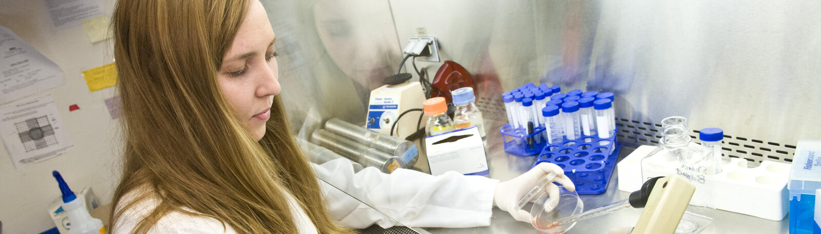 photo of a student working in a lab