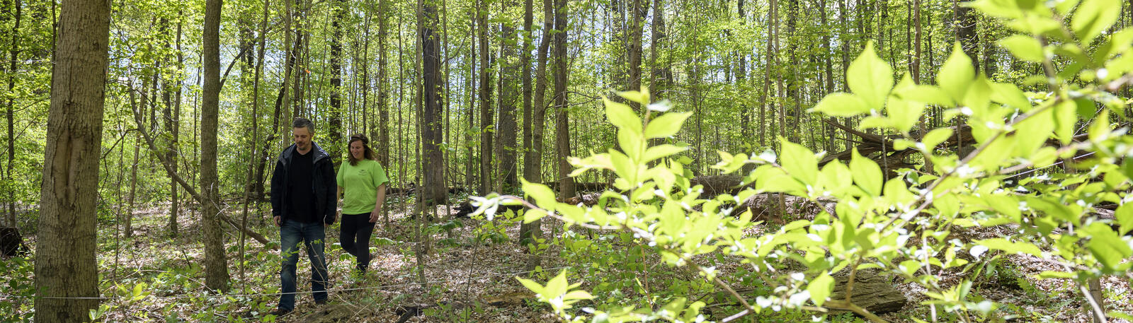 photo of a professor and student walking in the woods
