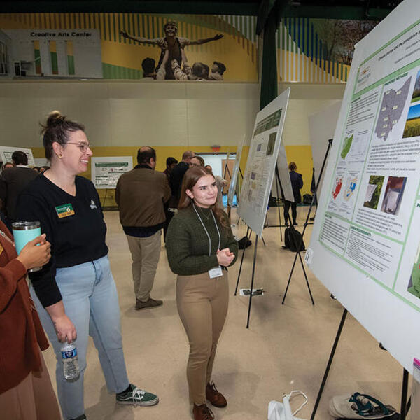 People looking at Festival of Research poster boards