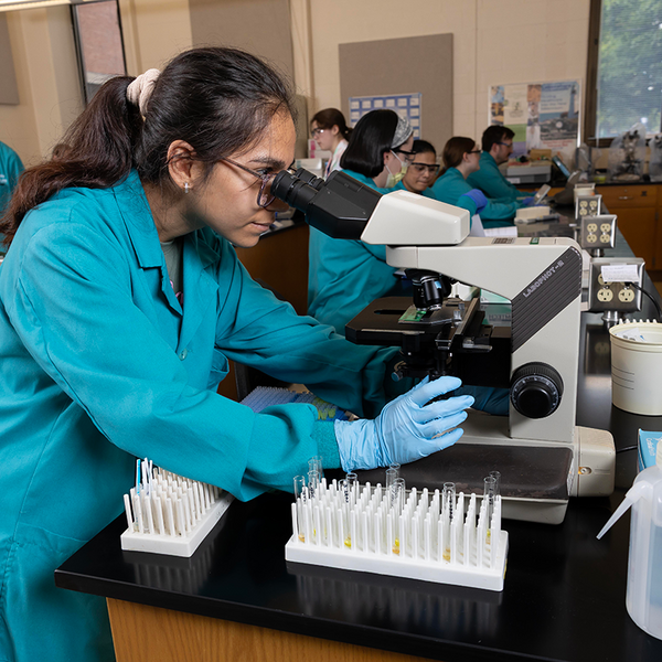 Preparing students for the workforce from day one