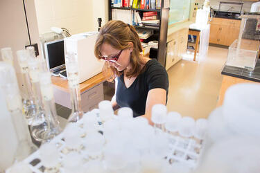 photo of a student working in a lab